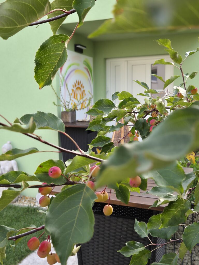 Meine Magie Haus Haag