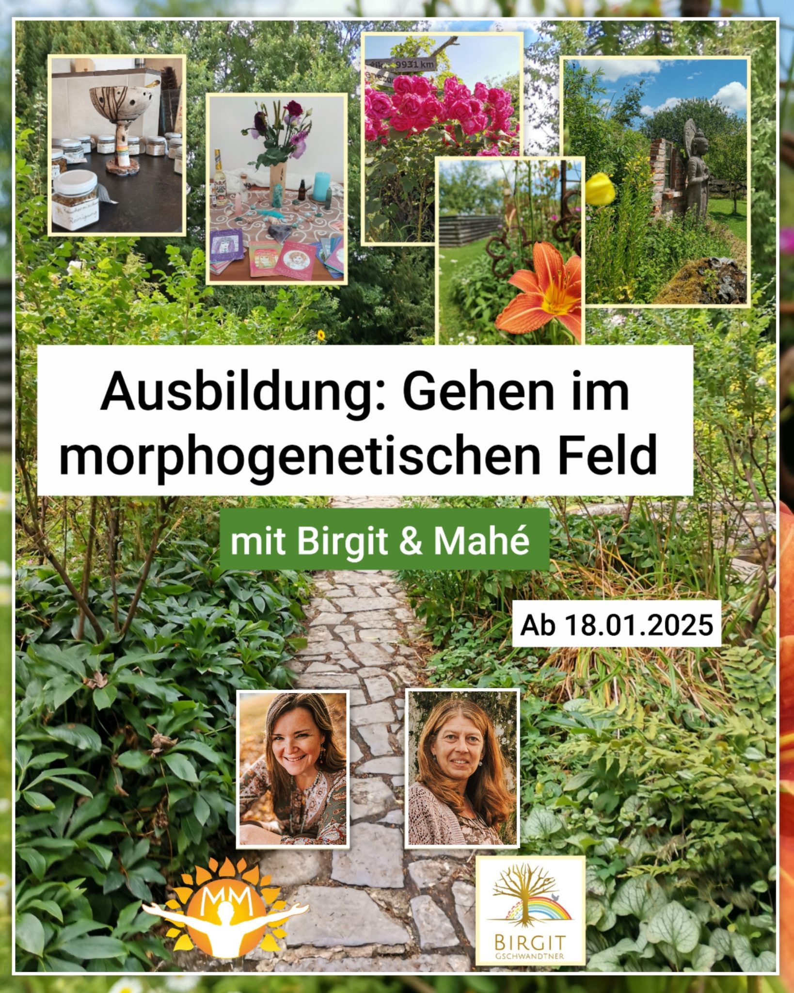 Meine Magie - News Ausbildung Gehen im morphogenetischen Feld