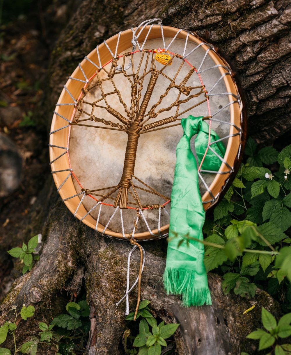 Erlebnistag: Werde zu deinem eigenen Baum – Meine Magie