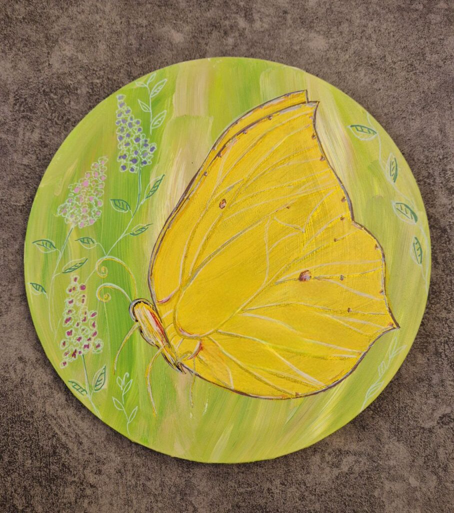 Schmetterling – Meine Magie