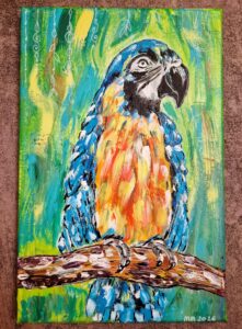 Papagei – Meine Magie