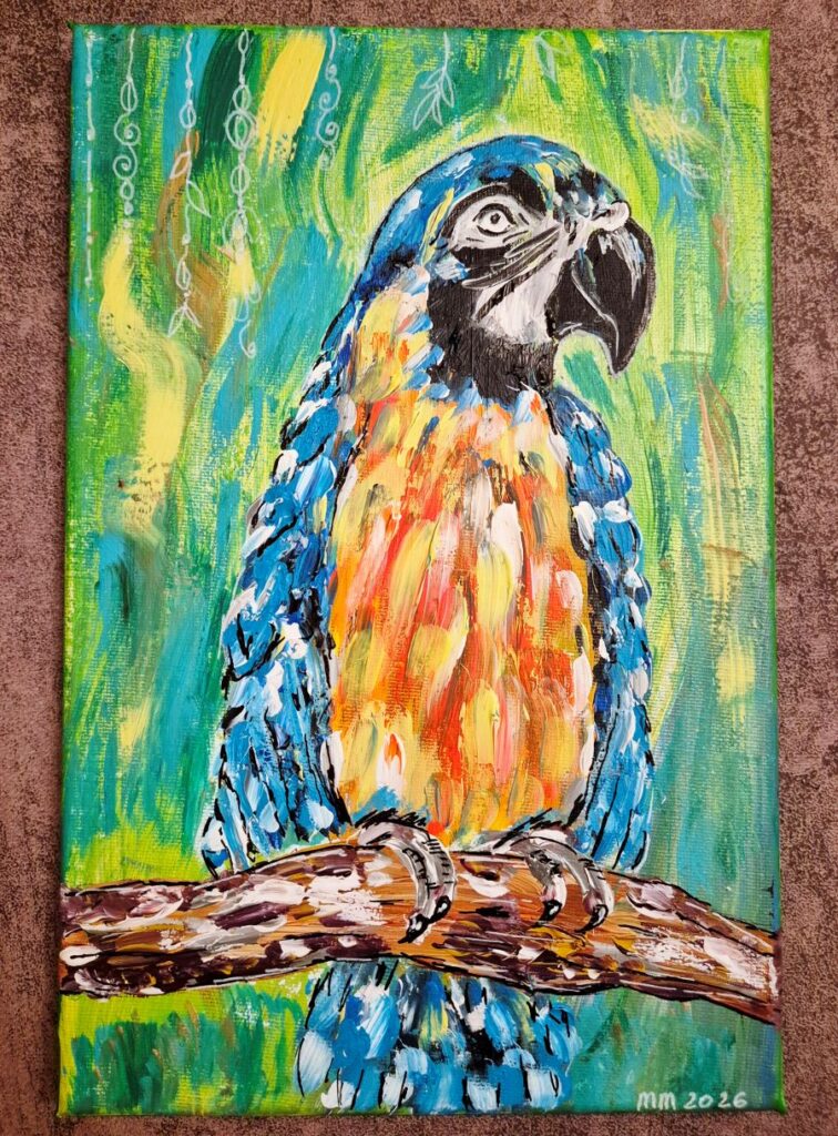 Papagei – Meine Magie